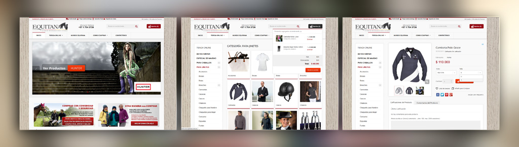 Posicionamiento Web SEO en Bogotá Equitana