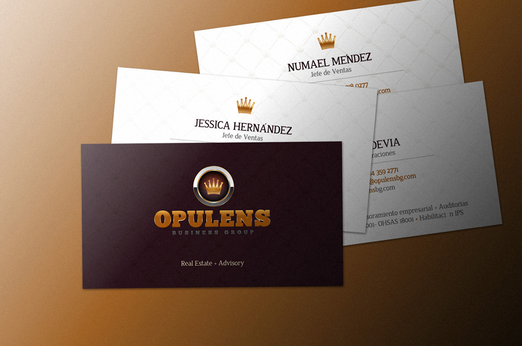 Posicionamiento Web SEO en Colombia Opulens Business Group Imnobiliaria
